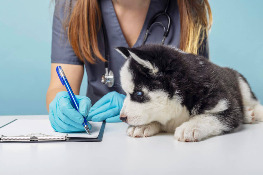 Health Certificates